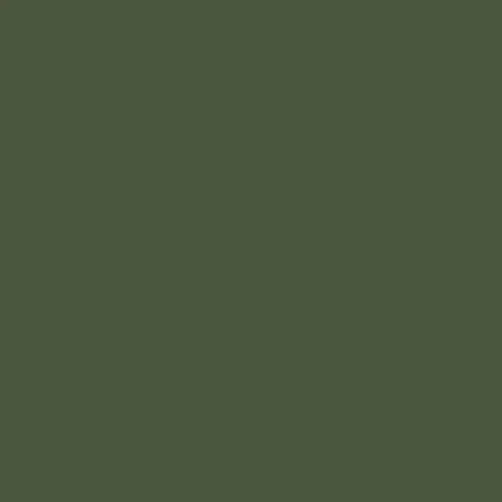 RAL 6003 Olive green entry-doors door-colors ral-colors ral-6003-olive-green texture