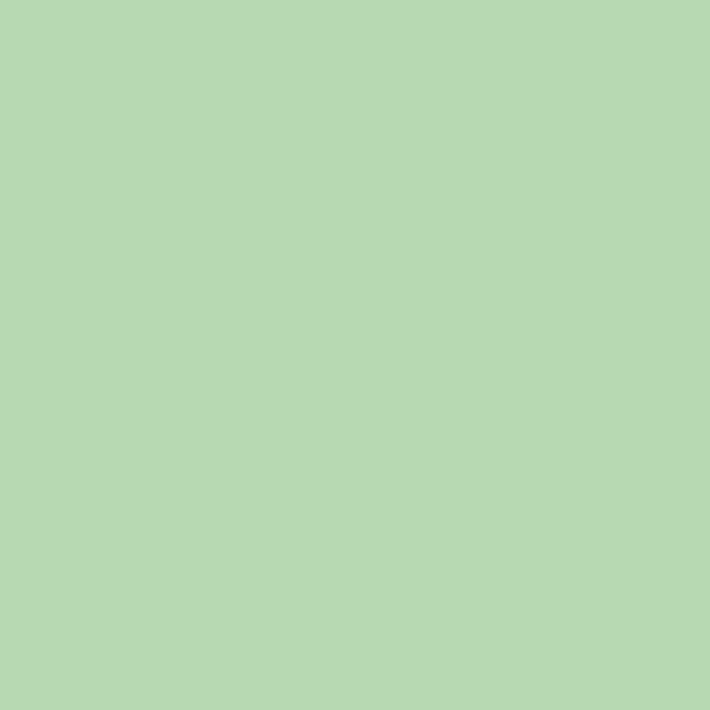 RAL 6019 Pastel green entry-doors door-colors ral-colors ral-6019-pastel-green texture