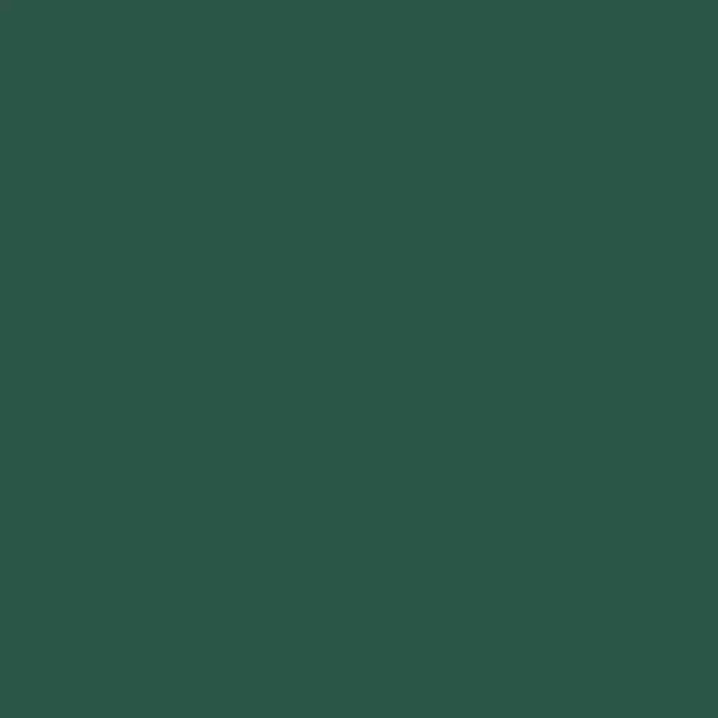 RAL 6028 Pine green entry-doors door-colors ral-colors ral-6028-pine-green texture