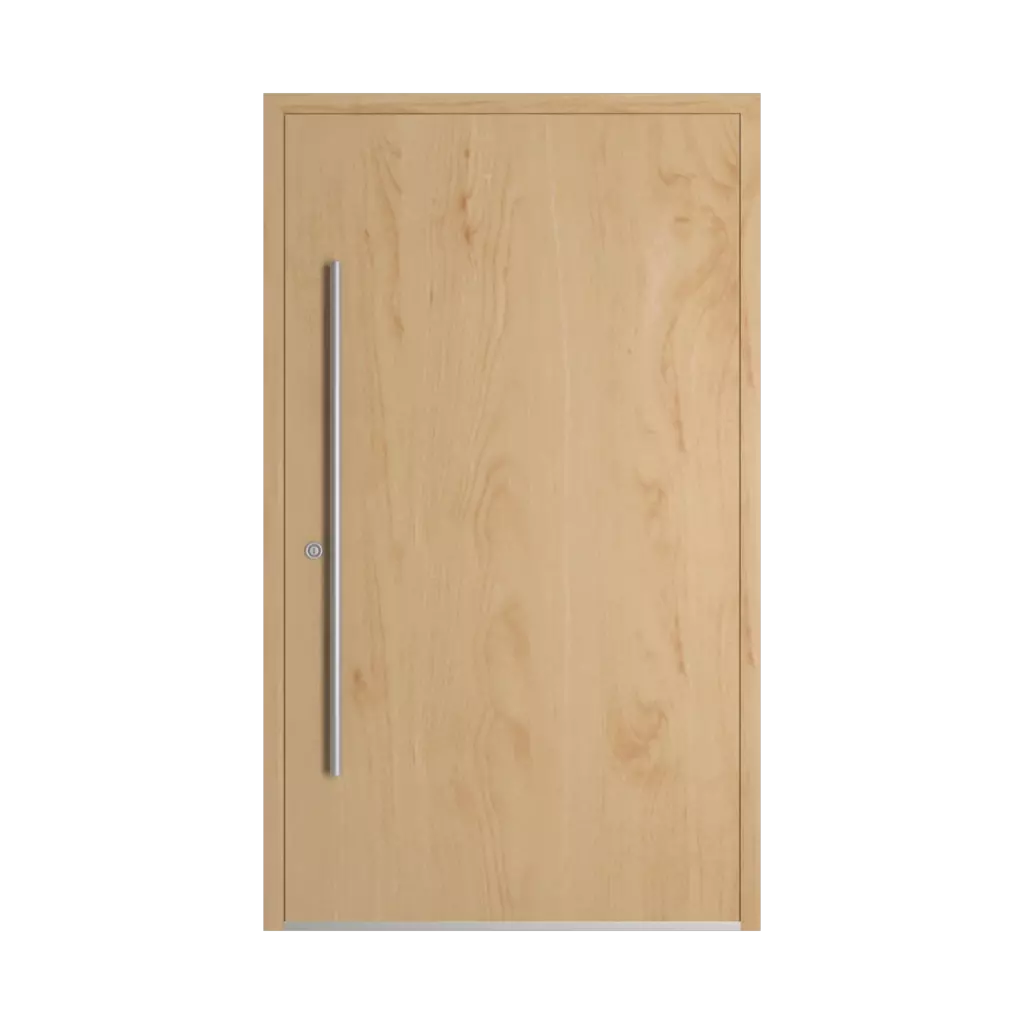 Birch entry-doors models dindecor be04  