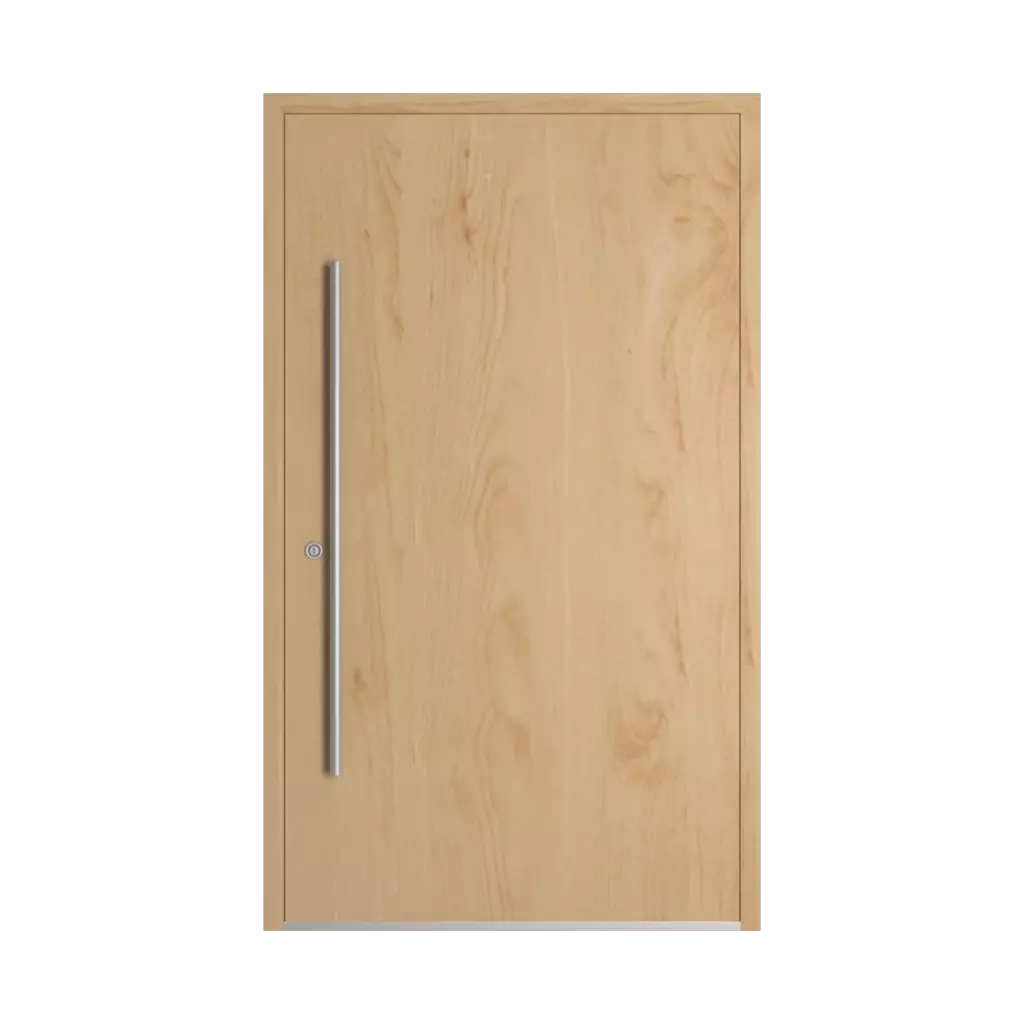 Birch entry-doors models dindecor model-5041  