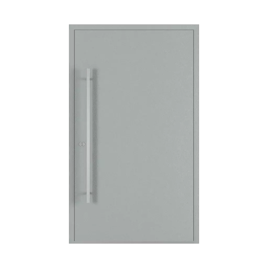 Gray entry-doors models dindecor sl07  