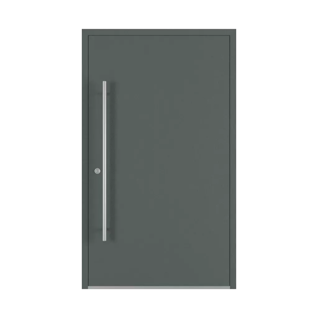 Basalt gray entry-doors models dindecor sl03  