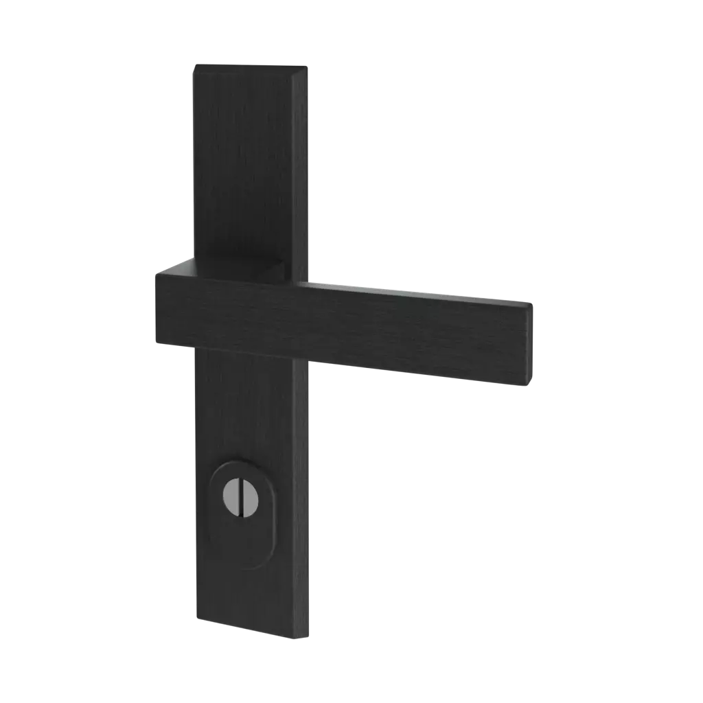 Black F8 entry-doors door-accessories handles royal 