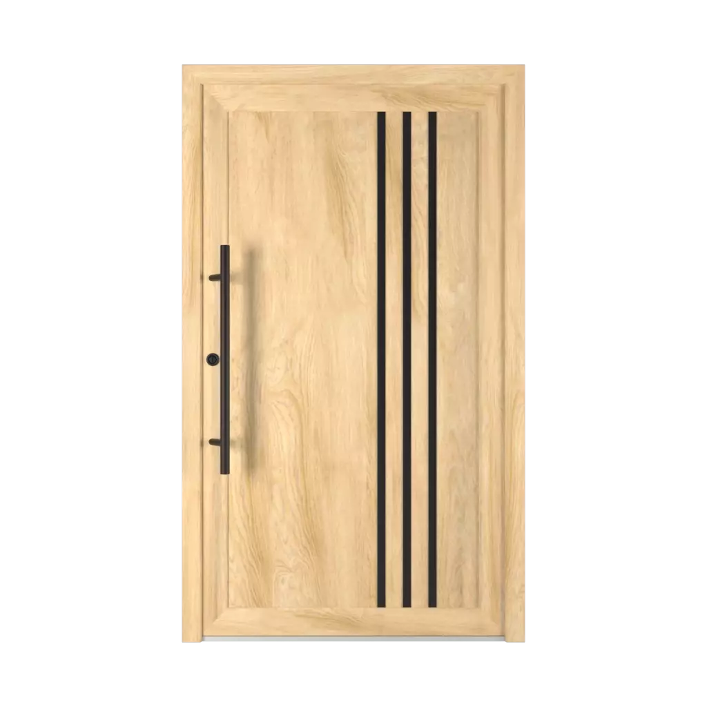 6029 PVC Black entry-doors models dindecor 