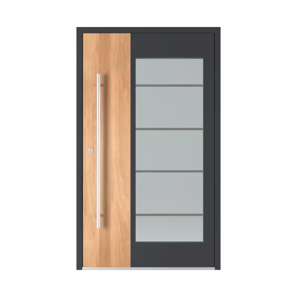 Model 6110 entry-doors models dindecor 