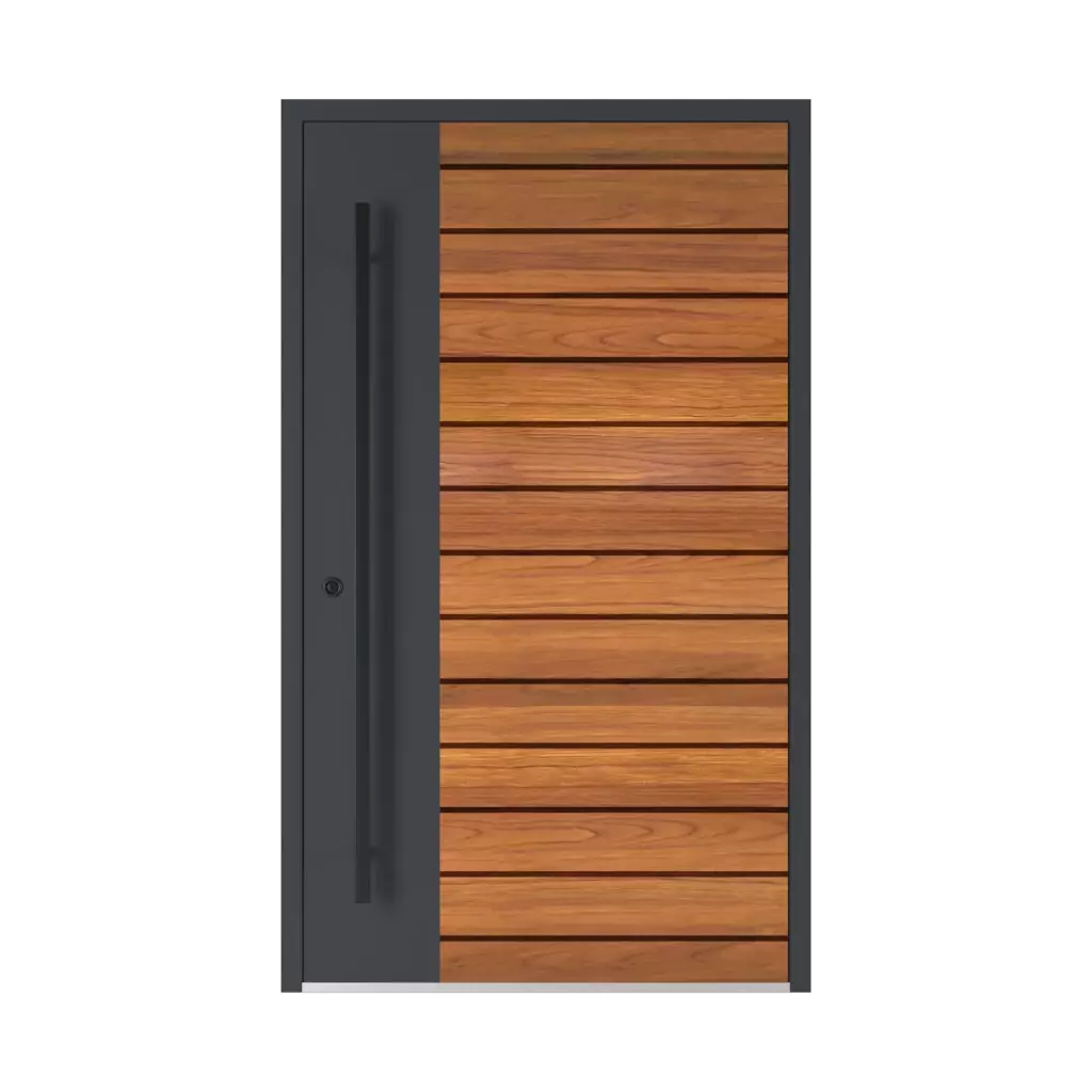 Model 6123 ✨ entry-doors door-colors standard-colors walnut 