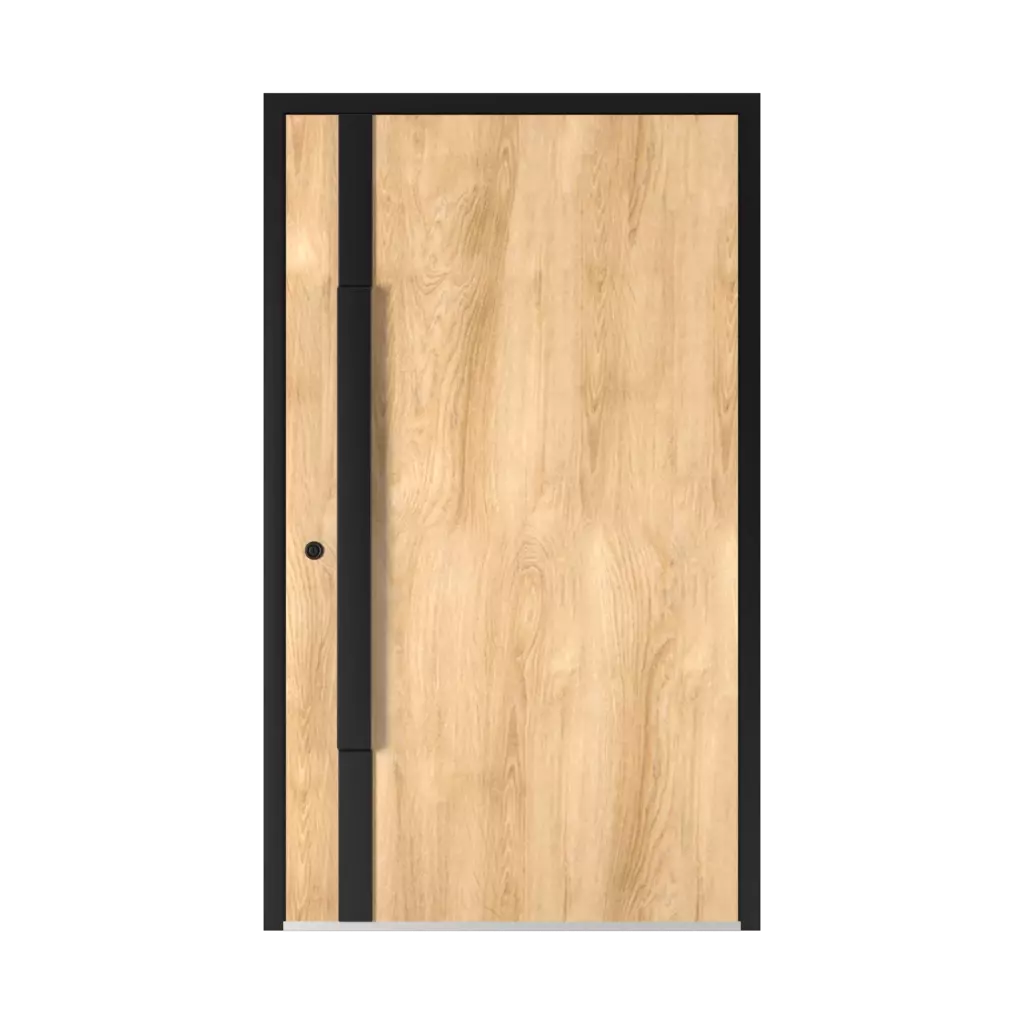 5015 Black ✨ entry-doors door-colors standard-colors walnut 