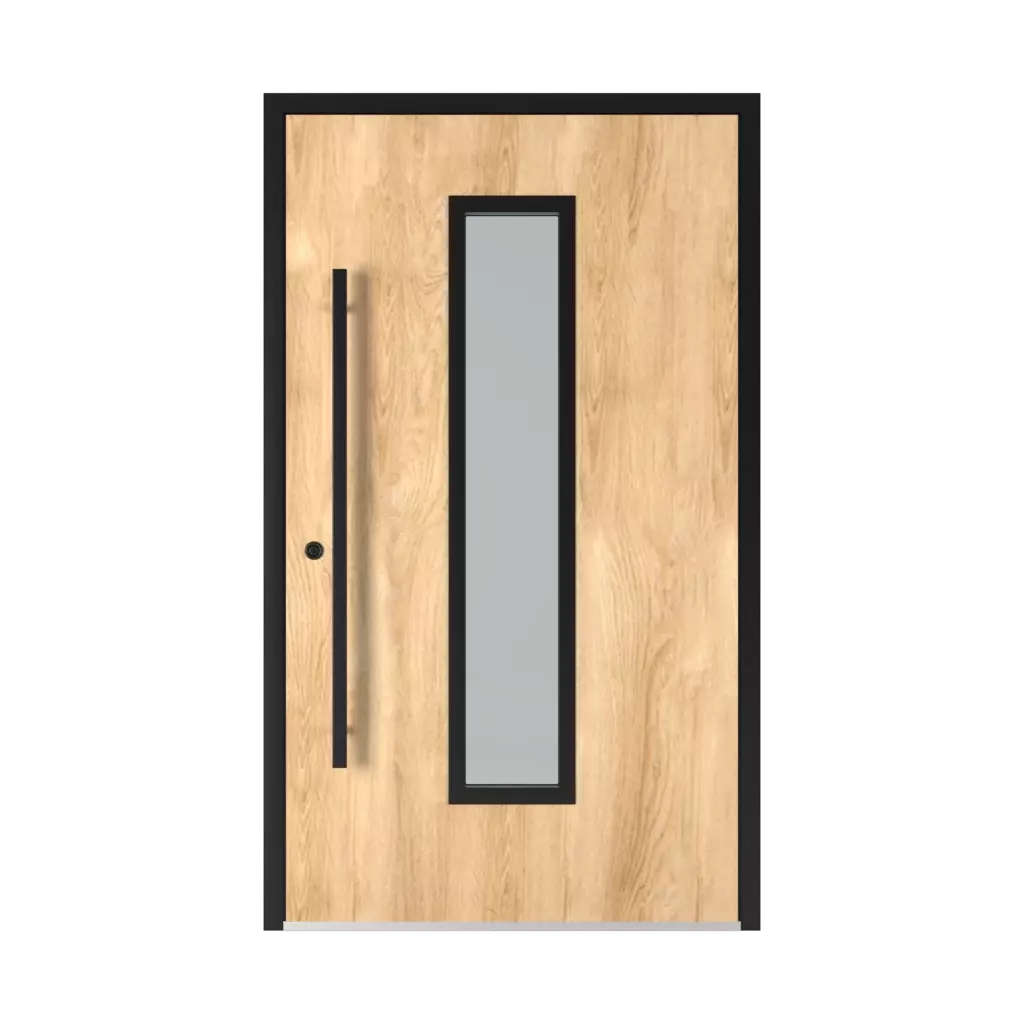 6002 Black entry-doors models dindecor 