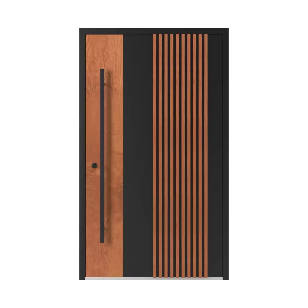 Model LL 01 🏆 products aluminum-entry-doors    