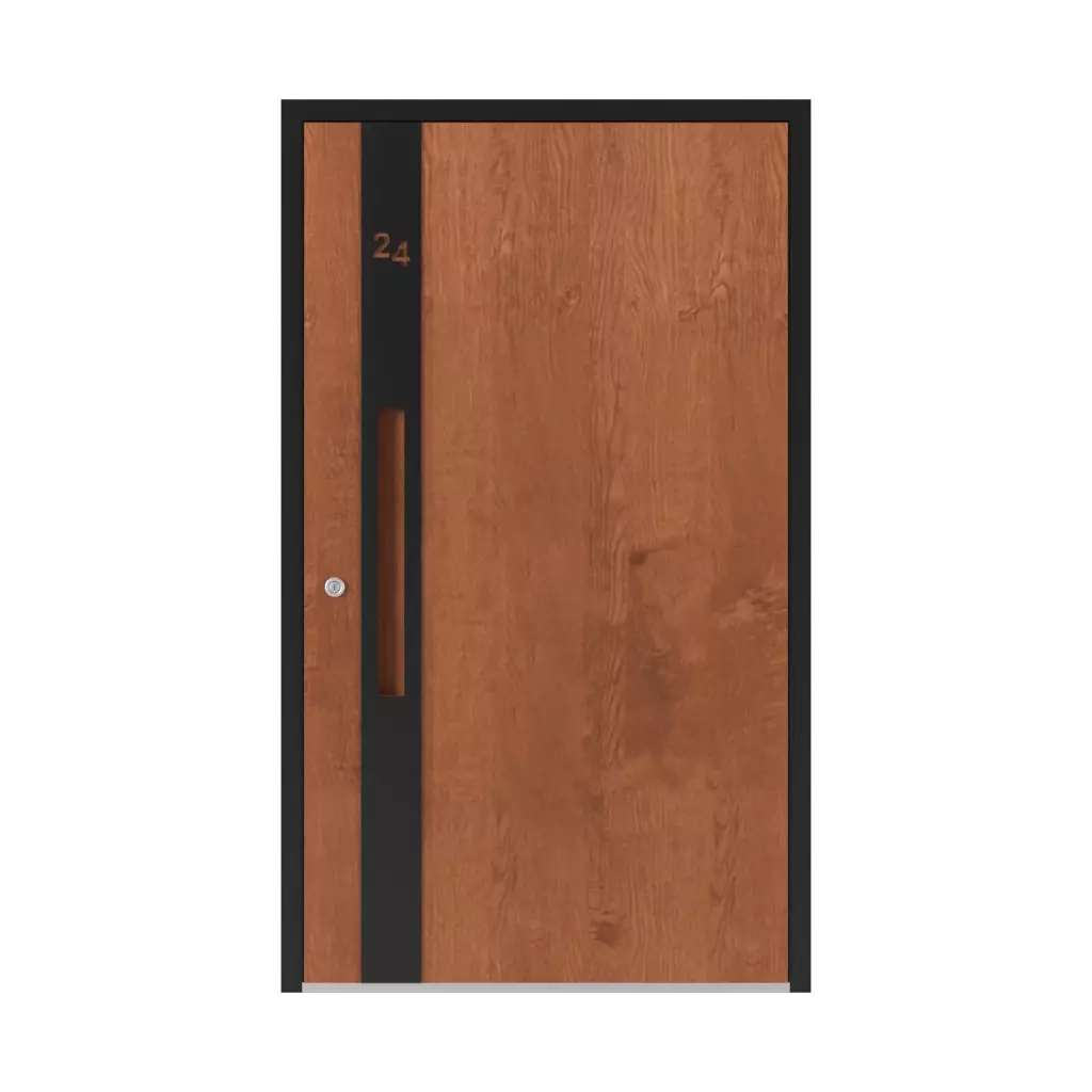 6124 PWZ entry-doors models dindecor 