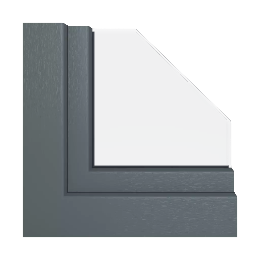 Anthracite gray ✨ products window-packages standard-plus   