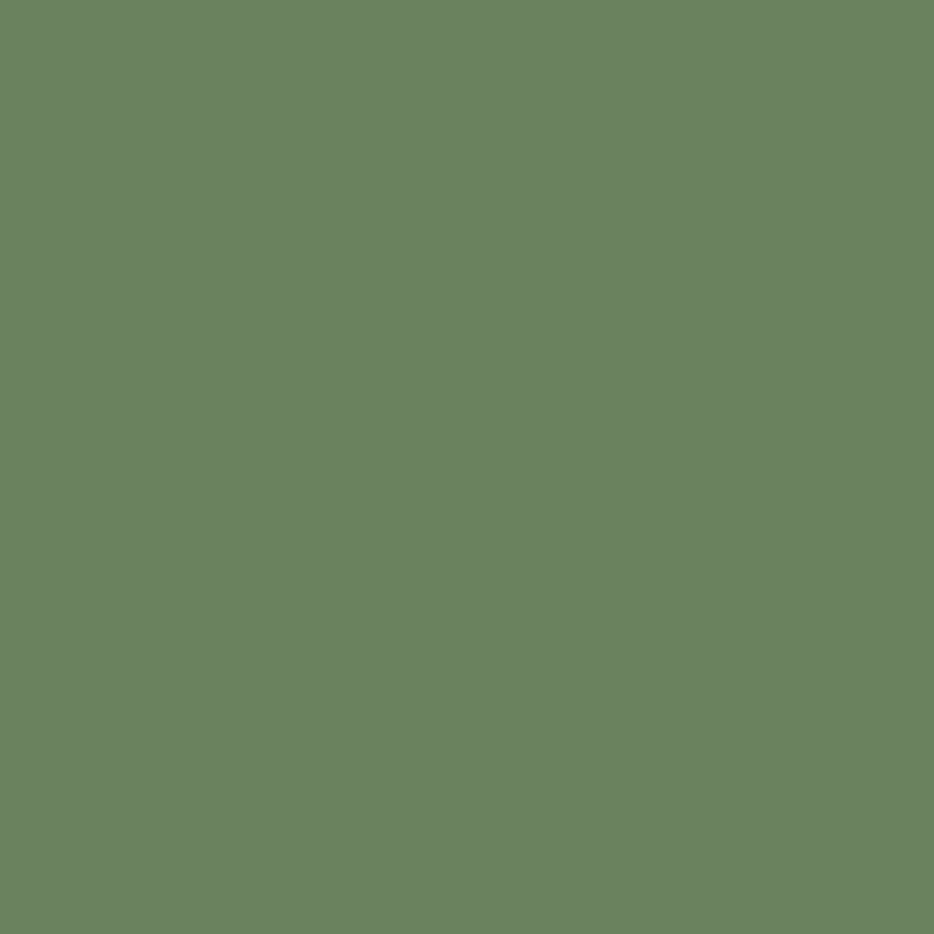 RAL 6011 Reseda green windows window-color aluminum-ral ral-6011-reseda-green texture