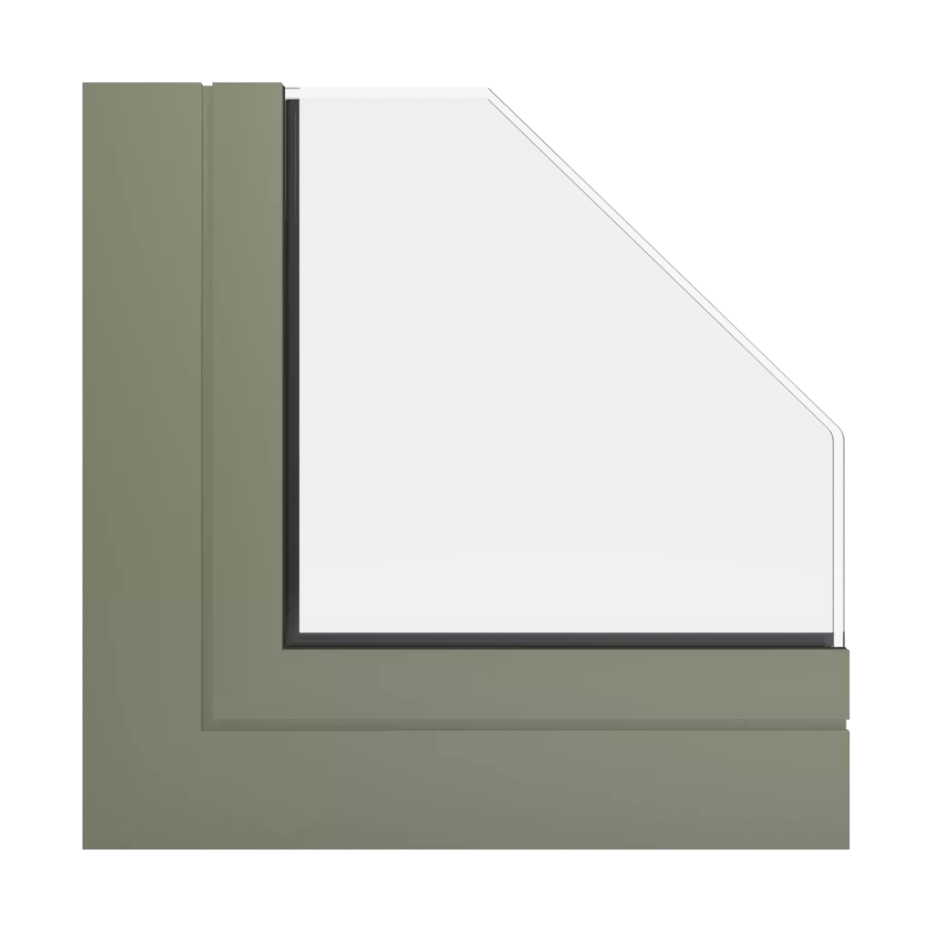 RAL 7001 Silver grey windows window-profiles aliplast panorama