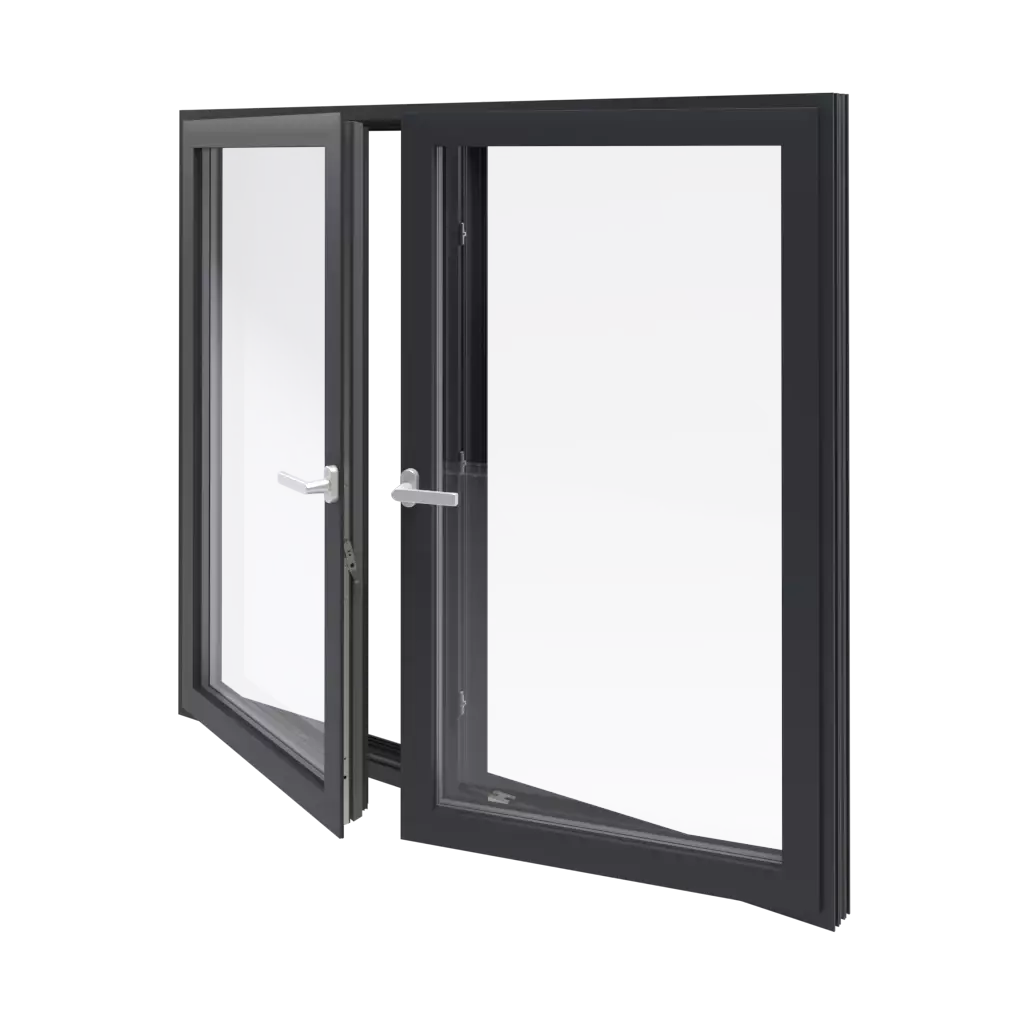 Aluminum windows      